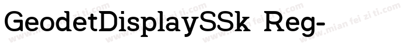 GeodetDisplaySSk Reg字体转换